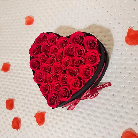 Apartmán Summerhome *